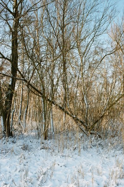 20040101 37 sneeuw